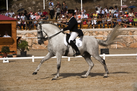 Juan Manuel Muñoz montando a Fuego XII en I Copa de Su Majestad el Rey en el Centro Hípico de la Beata en Valdepeñas de Jaén.